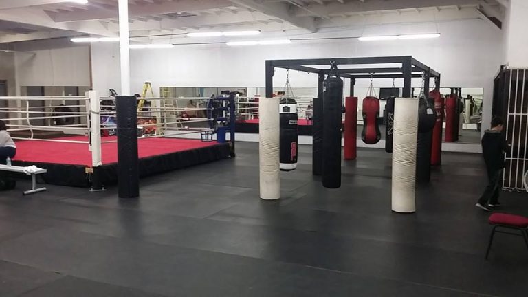 12592271 1015490615200157 8485024402023963840 n 768x432