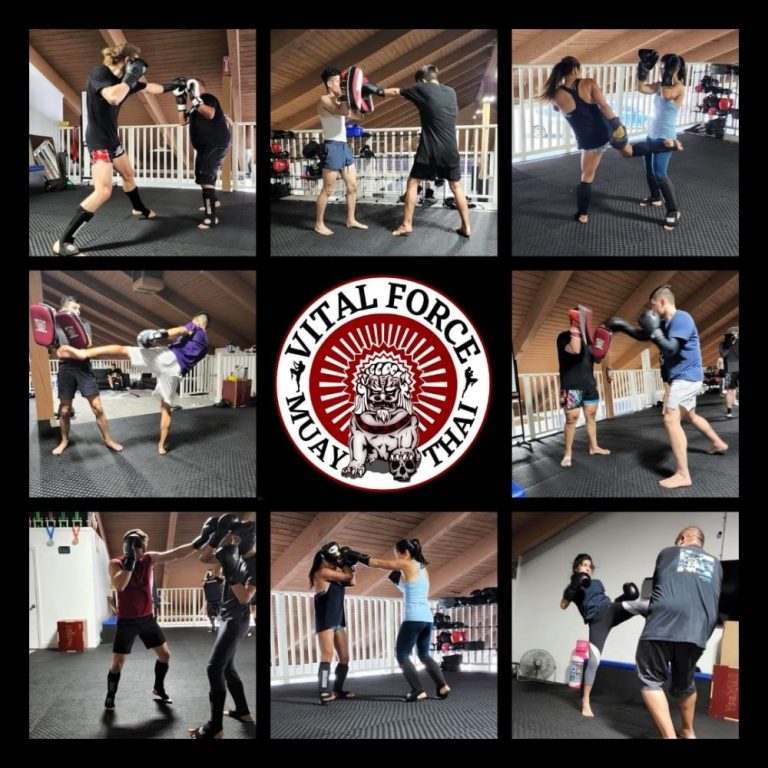 vitalforce2 1 768x768