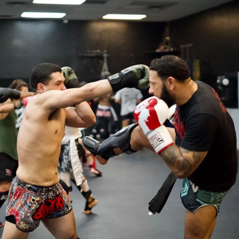 290382236 431022265557438 6216126137119985795 n 1920w 768x768