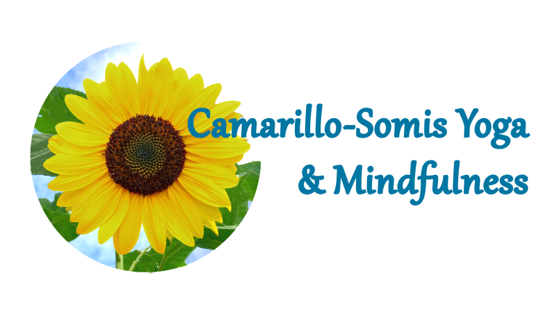 CSYM Sunflower Circle Logo Wide Empty bg For Website 1 768x452