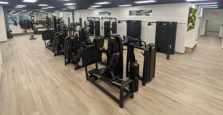 Resistance overview 768x397